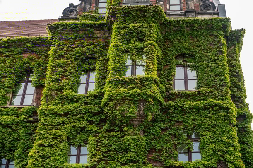 Muzeum Narodowe we Wrocławiu